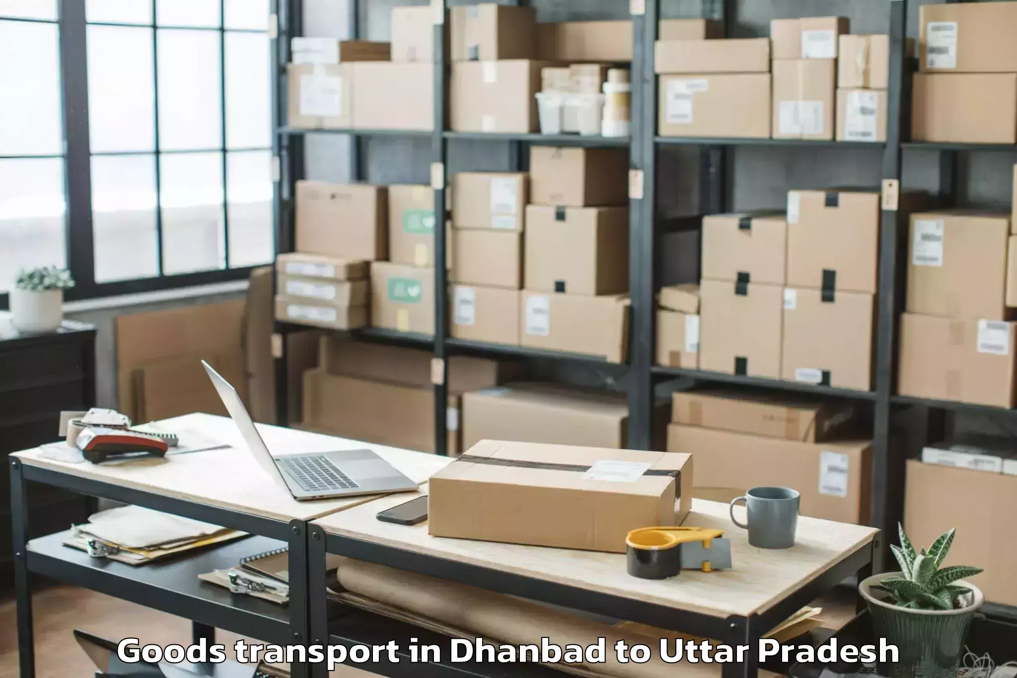 Book Dhanbad to Sikandra Rao Goods Transport